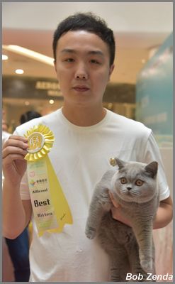 Teddy-Cat Mulan Hsu of Kisses Cat